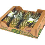 Pineapple Tray